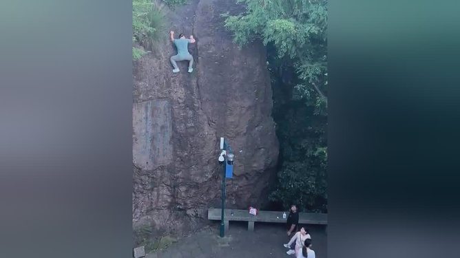 女子景区遇见岩羊飞檐走壁